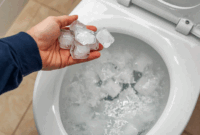 Tren membersihkan toilet menggunakan es batu kembali ramai diperbincangkan di media sosial. Cara sederhana ini diklaim mampu membantu membersihkan noda membandel di kloset hanya dengan memanfaatkan es batu dari freezer. (Dailygalaxy)