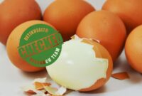 Telur rebus. Foto: iStock