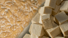 Foto: Tempe dan tahu. (Dok. Pexels)