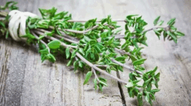 Foto: Daun thyme. (Istimewa)