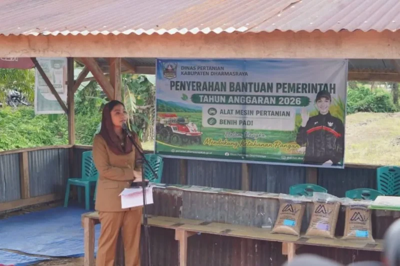 Bupati Dharmasraya Annisa Suci Ramadhani menyerahkan bantuan tersebut kepada para petani pada Senin (22/6).( poto : ANTARA)