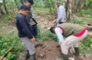BKSDA meminta masyarakat meningkatkan kewaspadaan saat beraktivitas di kawasan kebun.( poto : ANTARA )