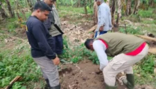 BKSDA meminta masyarakat meningkatkan kewaspadaan saat beraktivitas di kawasan kebun.( poto : ANTARA )