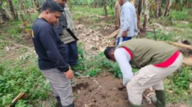 BKSDA meminta masyarakat meningkatkan kewaspadaan saat beraktivitas di kawasan kebun.( poto : ANTARA )