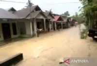 Banjir mulai merendam permukiman masyarakat di Kecamatan Pante Ceureumen, Kabupaten Aceh Barat, Minggu (14/6/2026) sore. (ANTARA )