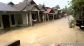 Banjir mulai merendam permukiman masyarakat di Kecamatan Pante Ceureumen, Kabupaten Aceh Barat, Minggu (14/6/2026) sore. (ANTARA )