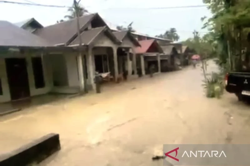 Banjir mulai merendam permukiman masyarakat di Kecamatan Pante Ceureumen, Kabupaten Aceh Barat, Minggu (14/6/2026) sore. (ANTARA )