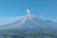Gunung Semeru erupsi dengan tinggi letusan mencapai 1.000 meter di atas puncak pada Kamis (11/6/2026).( poto : kompas.com )