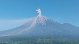 Gunung Semeru erupsi dengan tinggi letusan mencapai 1.000 meter di atas puncak pada Kamis (11/6/2026).( poto : kompas.com )