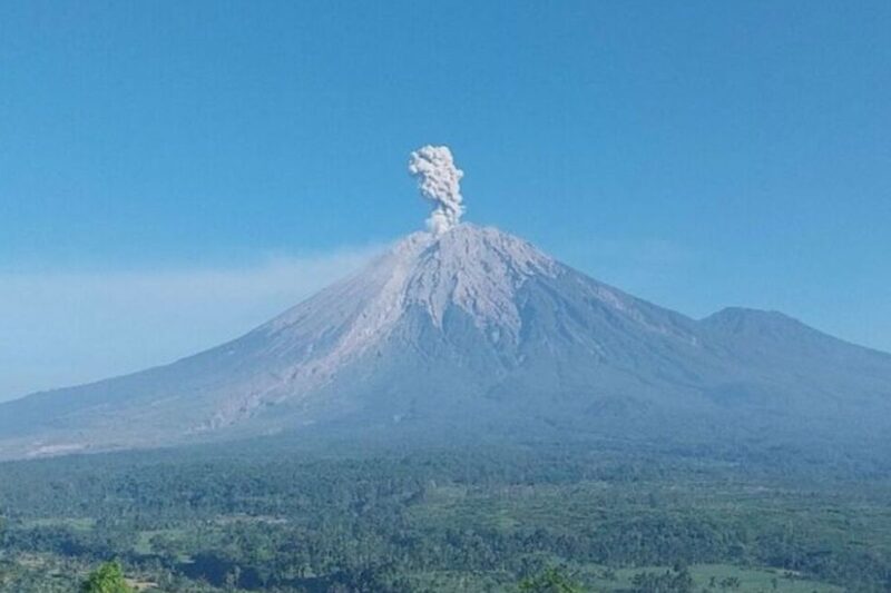 Gunung Semeru erupsi dengan tinggi letusan mencapai 1.000 meter di atas puncak pada Kamis (11/6/2026).( poto : kompas.com )