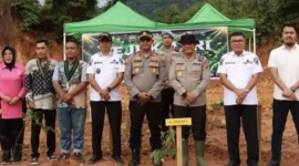 Sukseskan Program Reklamasi dan Penghijauan Serentak, Polres Pessel Tanam Pohon Bersama.( poto : sumbarbisnis.com )