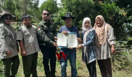 OKKPD Jambi lakukan surveilans pangan di Sungai Penuh, serahkan Sertifikat Prima-3, dorong keamanan dan mutu pangan segar asal tumbuhan.