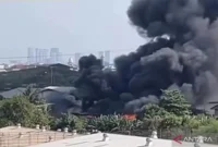 Kebakaran melanda sebuah gudang di kawasan Jalan Pluit Karang Karya Barat, RT 07/RW 16 Pejagalan, Kecamatan Penjaringan, Jakarta Utara, Sabtu (13/6/2026). ( poto : ANTARA/Risky Syukur )