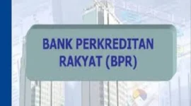 Kredit BPR Sumbar UMKM terus menguat dan ikut mendorong aktivitas ekonomi daerah. ( ilustrasi poto : merdeka.com )