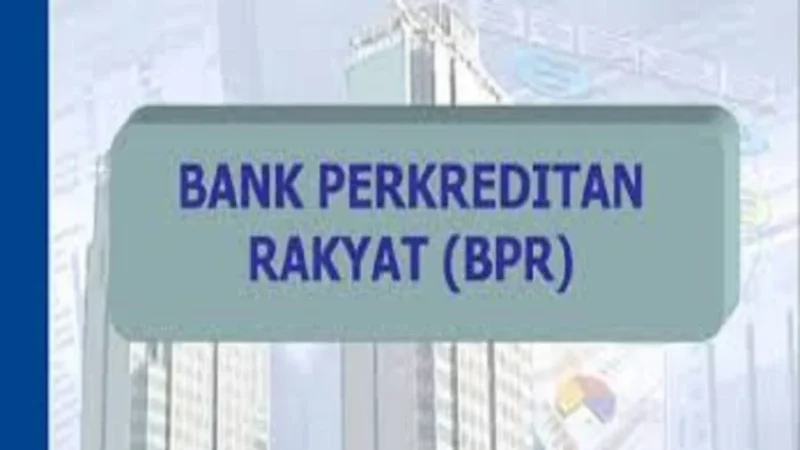 Kredit BPR Sumbar UMKM terus menguat dan ikut mendorong aktivitas ekonomi daerah. ( ilustrasi poto : merdeka.com )