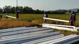 Pemkab Agam membangun 27 titik irigasi perpipaan senilai Rp2,5 miliar untuk memulihkan 400 hektare sawah rusak akibat bencana alam.(Ilustrasi poto: istimewa).