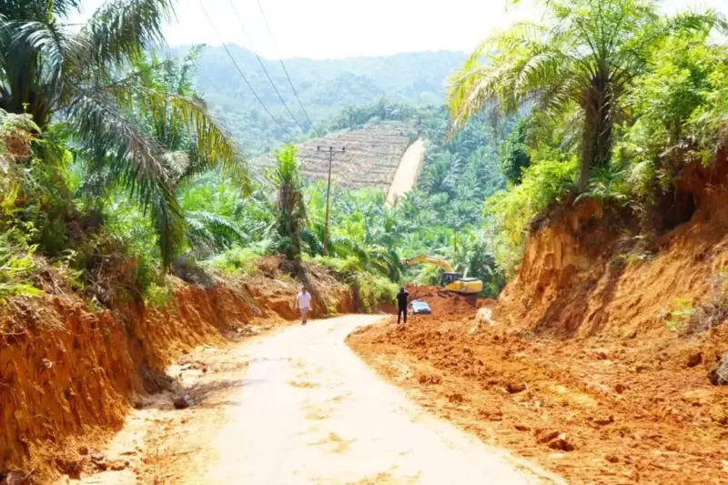Pemerintah Kabupaten (Pemkab) Dharmasraya sukses menggandeng sektor swasta untuk mempercepat pembangunan infrastruktur.(poto: kabarsumbar.com).