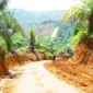 Pemerintah Kabupaten (Pemkab) Dharmasraya sukses menggandeng sektor swasta untuk mempercepat pembangunan infrastruktur.(poto: kabarsumbar.com).