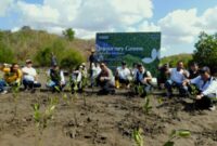Pulihkan Ekosistem Pesisir, ITDC Tanam 4.500 Bibit Mangrove di Kawasan Sanctuary Mandalika.(poto: radarntb.com).