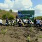 Pulihkan Ekosistem Pesisir, ITDC Tanam 4.500 Bibit Mangrove di Kawasan Sanctuary Mandalika.(poto: radarntb.com).