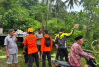 Basarnas evakuasi kernet  truk yang terlindas dan berada di kolong kendaraan. ( poto : langgam.id )