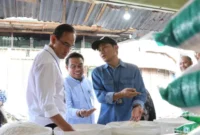 Direktur Pemasaran Perum BULOG, Rahmanto Amin Jatmiko, meninjau langsung ketersediaan stok dan perkembangan harga beras hingga MinyaKita di Pasar Raya Kota Padang.( poto: padangkita.com).