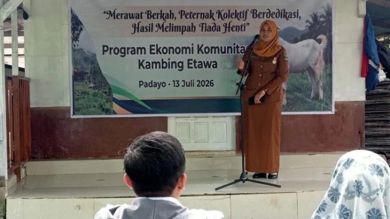 Program Ekonomis Komunitas Kambing Etawa yang dilaksanakan di Padayo Goat Farm, Kelurahan Indarung, Kecamatan Lubuk Kilangan, Kota Padang. (poto: padangkita.com).
