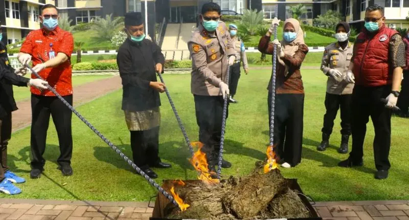 Pemusnahan barang bukti kasus tindak pidana penyalahgunaan narkotika, di Mapolda Sumbar. (poto: padangkita.com).