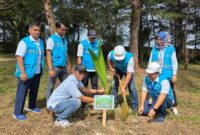 PLN UID Sumatera Barat berkontribusi nyata dengan menyerahkan 100 bibit pohon dalam kunjungan kerja Menteri Lingkungan Hidup.(poto: radarsumbar.com).
