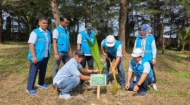 PLN UID Sumatera Barat berkontribusi nyata dengan menyerahkan 100 bibit pohon dalam kunjungan kerja Menteri Lingkungan Hidup.(poto: radarsumbar.com).