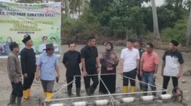 Wakil Gubernur Sumbar Vasko Ruseimy menghadiri penanaman perdana benih padi dengan pola Pertanian Modern–Advanced Agriculture System (PM-AAS).(poto: padangkita.com).