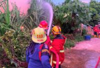 Kebakaran lahan kosong komplek Perumahan Pondok Indah Permai Blok A-19, Kelurahan Dadok Tunggul Hitam.(poto: arunala.com),
