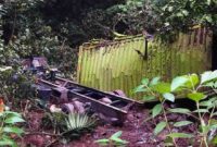 Kecelakaan beruntun di Pasaman melibatkan truk terperosok ke jurang Bonjol.(poto: isrtimewa).