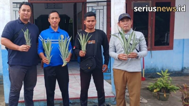 PT Perkebunan Nusantara IV Regional IV Jambi-Sumbar Kebun Lagan menyalurkan 1.500 bibit nanas kepada warga Tanjung Jabung Timur.(poto: seriusnews.id).