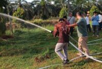 Manajer Kebun Lagan PTPN IV Regional IV, Fadly Wahyudi, memimpin langsung pelaksanaan program mitigasi ini pada minggu pertama Agustus 2026.(poto: istimewa).