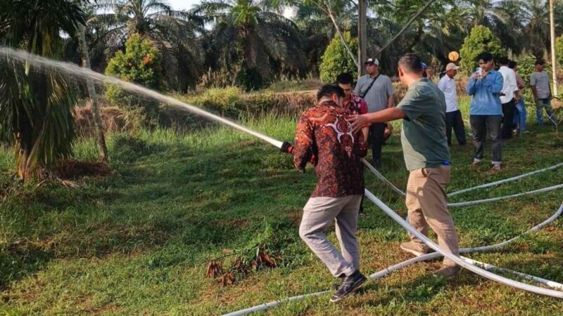 Manajer Kebun Lagan PTPN IV Regional IV, Fadly Wahyudi, memimpin langsung pelaksanaan program mitigasi ini pada minggu pertama Agustus 2026.(poto: istimewa).
