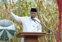 Gubernur Sumbar Mahyeldi Ansarullah dorong smart farming cabai di Agam guna tingkatkan produksi.(poto: padangkita.com).