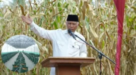 Gubernur Sumbar Mahyeldi Ansarullah dorong smart farming cabai di Agam guna tingkatkan produksi.(poto: padangkita.com).