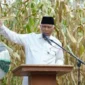 Gubernur Sumbar Mahyeldi Ansarullah dorong smart farming cabai di Agam guna tingkatkan produksi.(poto: padangkita.com).