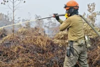 Pemadaman kebakaran hutan dan lahan di Riau.(poto: padangkita.com).