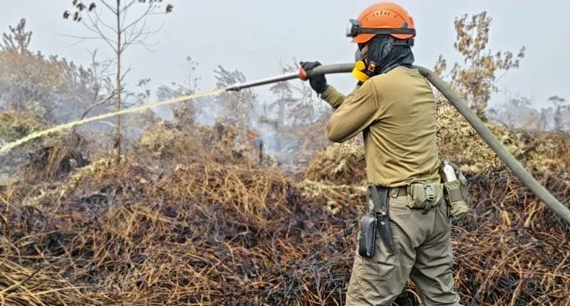 Pemadaman kebakaran hutan dan lahan di Riau.(poto: padangkita.com).