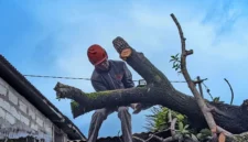 Petugas BPBD Kota Padang mengevakuasi pohon tumbang akibat angin kencang Senin (3/8/2026).(poto: padangkita.com).