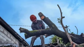 Petugas BPBD Kota Padang mengevakuasi pohon tumbang akibat angin kencang Senin (3/8/2026).(poto: padangkita.com).