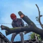 Petugas BPBD Kota Padang mengevakuasi pohon tumbang akibat angin kencang Senin (3/8/2026).(poto: padangkita.com).