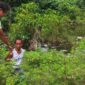 Pihak kepolisian menangkap seorang pria berinisial Hendrizal alias Hendri Gantiang (27).(poto: radarsumbar.com).