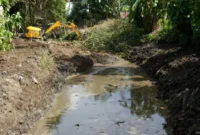 Dinas Pekerjaan Umum dan Penataan Ruang (PUPR) Kota Padang mengeruk Sungai Pampangan Nan XX, Kecamatan Lubuk Begalung.(poto: padangkita.com).