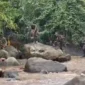 Tim SAR gabungan memperluas radius pencarian korban terdampak banjir bandang Arosuka Solok hingga mencapai 14 kilometer pada Kamis (24/9/2026).(poto: fajarsumbar.com).