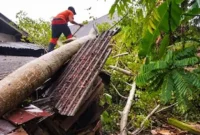 Pohon tumbang timpa PAUD di Nagari Kampung Tengah, Kecamatan Ranah Ampek Hulu Tapan, Kabupaten Pesisir Selatan, Sumatera Barat, Sabtu (26/9/2026).(poto: fajarsumbar.com).