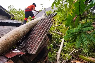 Pohon tumbang timpa PAUD di Nagari Kampung Tengah, Kecamatan Ranah Ampek Hulu Tapan, Kabupaten Pesisir Selatan, Sumatera Barat, Sabtu (26/9/2026).(poto: fajarsumbar.com).