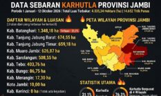 Data BPBD Jambi: Karhutla Capai 4.335 Ha, Kerinci Masih Nihil Api